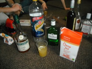 Our biggest success was the "(Slight) Bay Breeze", in which we substituted lemonade for lemon juice, orange juice for grenadine, and normal brandy for apricot brandy. Delish.